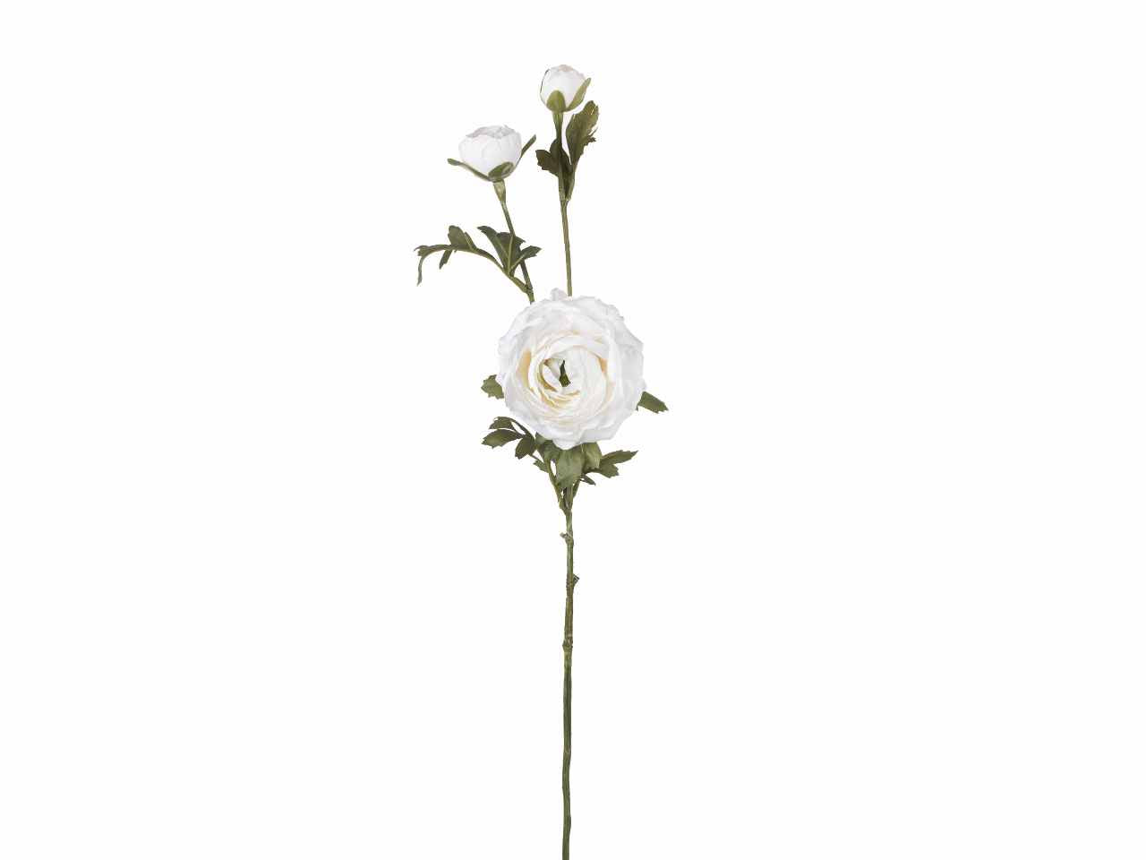 Ranuncolo x3 72cm bianco a26500