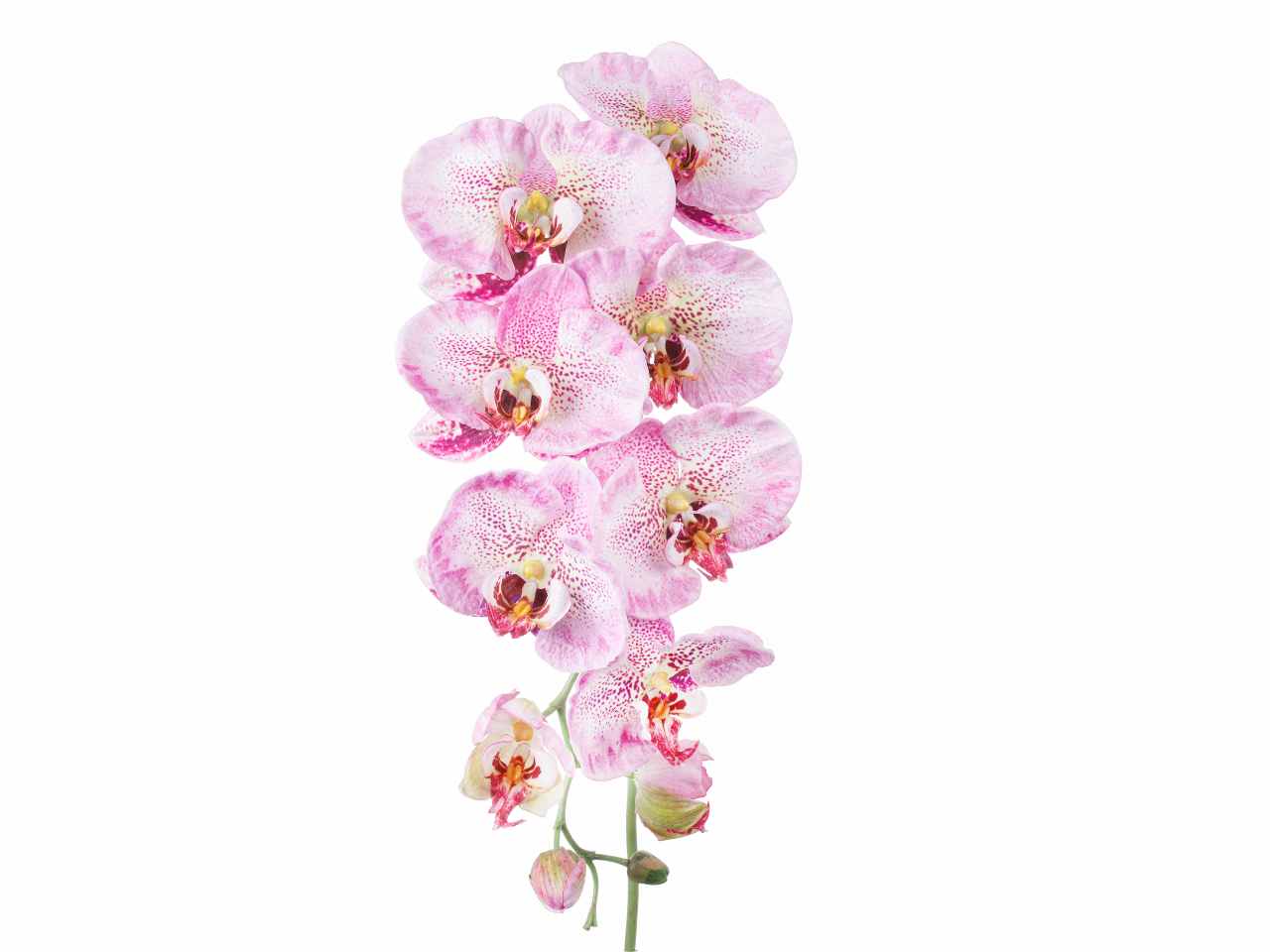 Orchidea 96cm rosa a26516