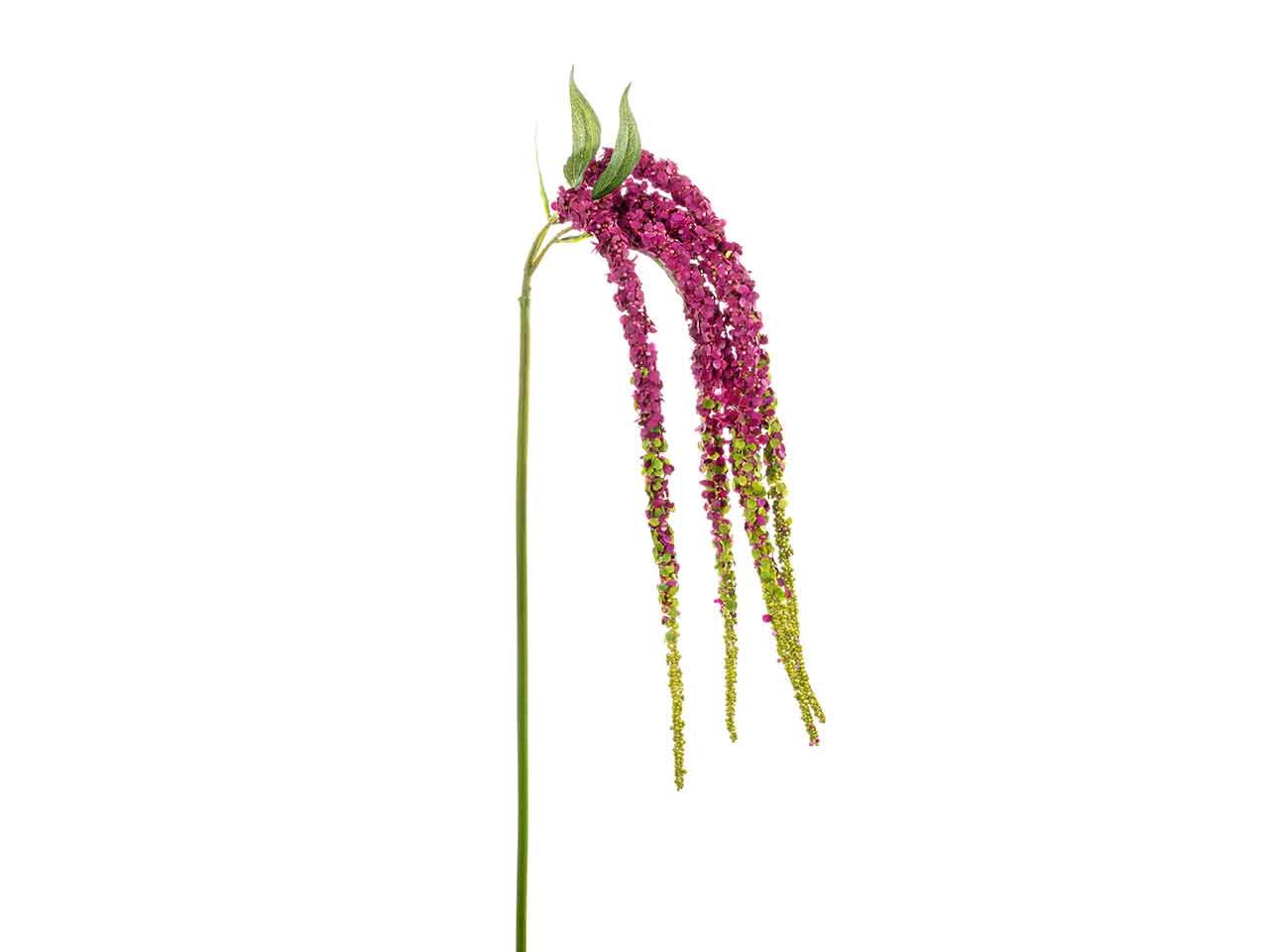 Amaranthus x5 96cm fucsia a26302