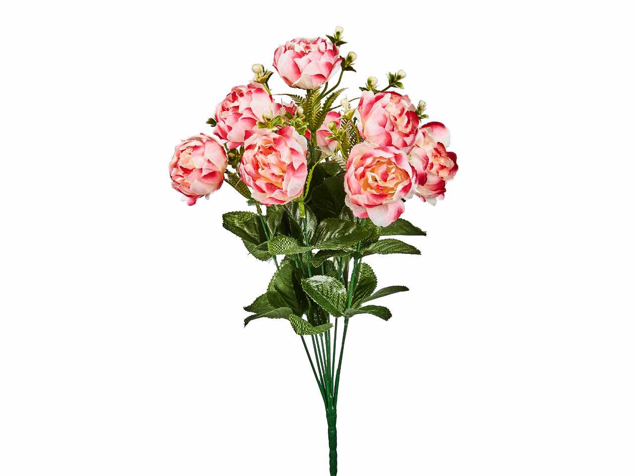 Mazzo di peonia x 10 colore rosa