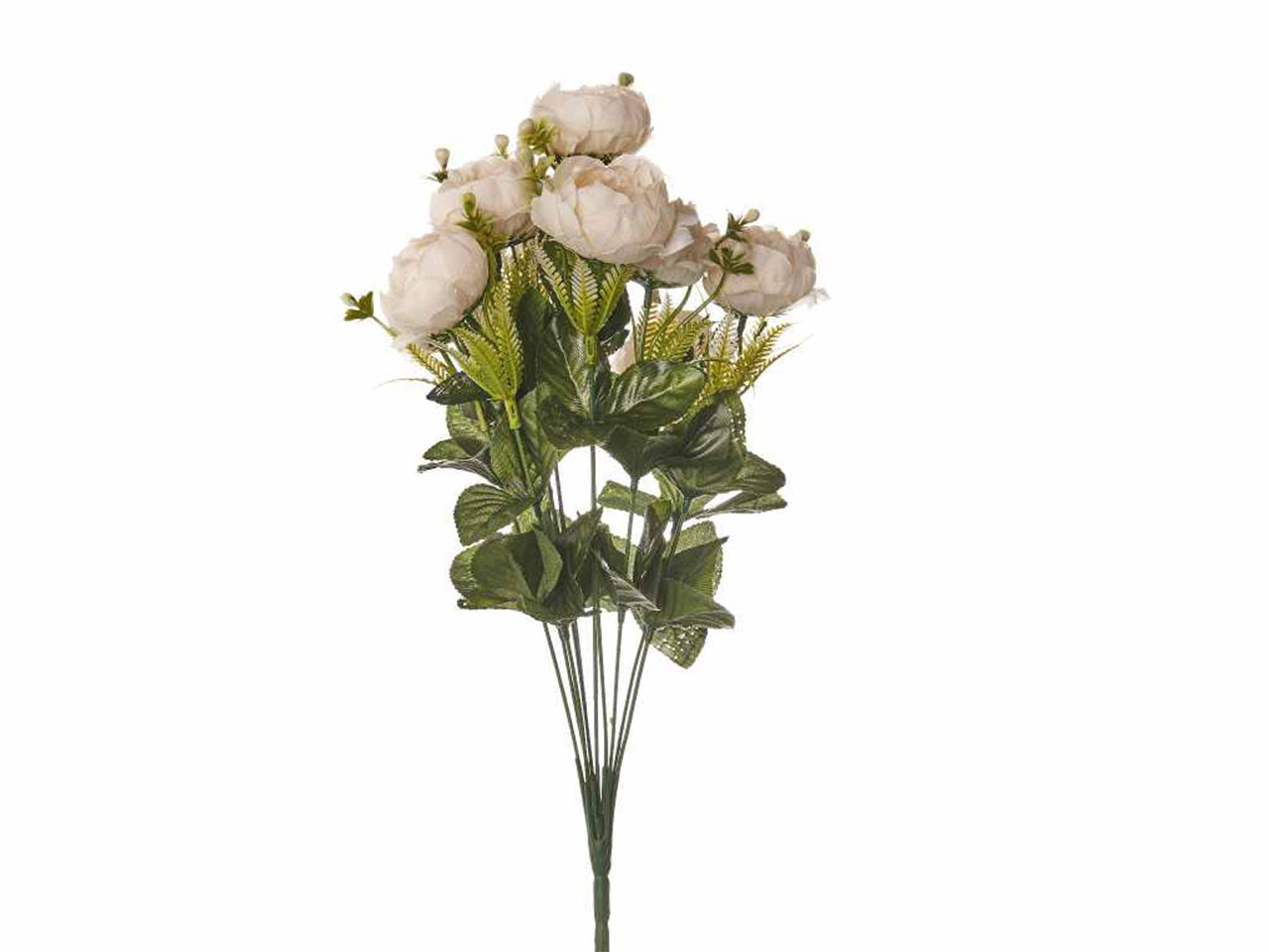 Mazzo di peonia x 10 colore crema