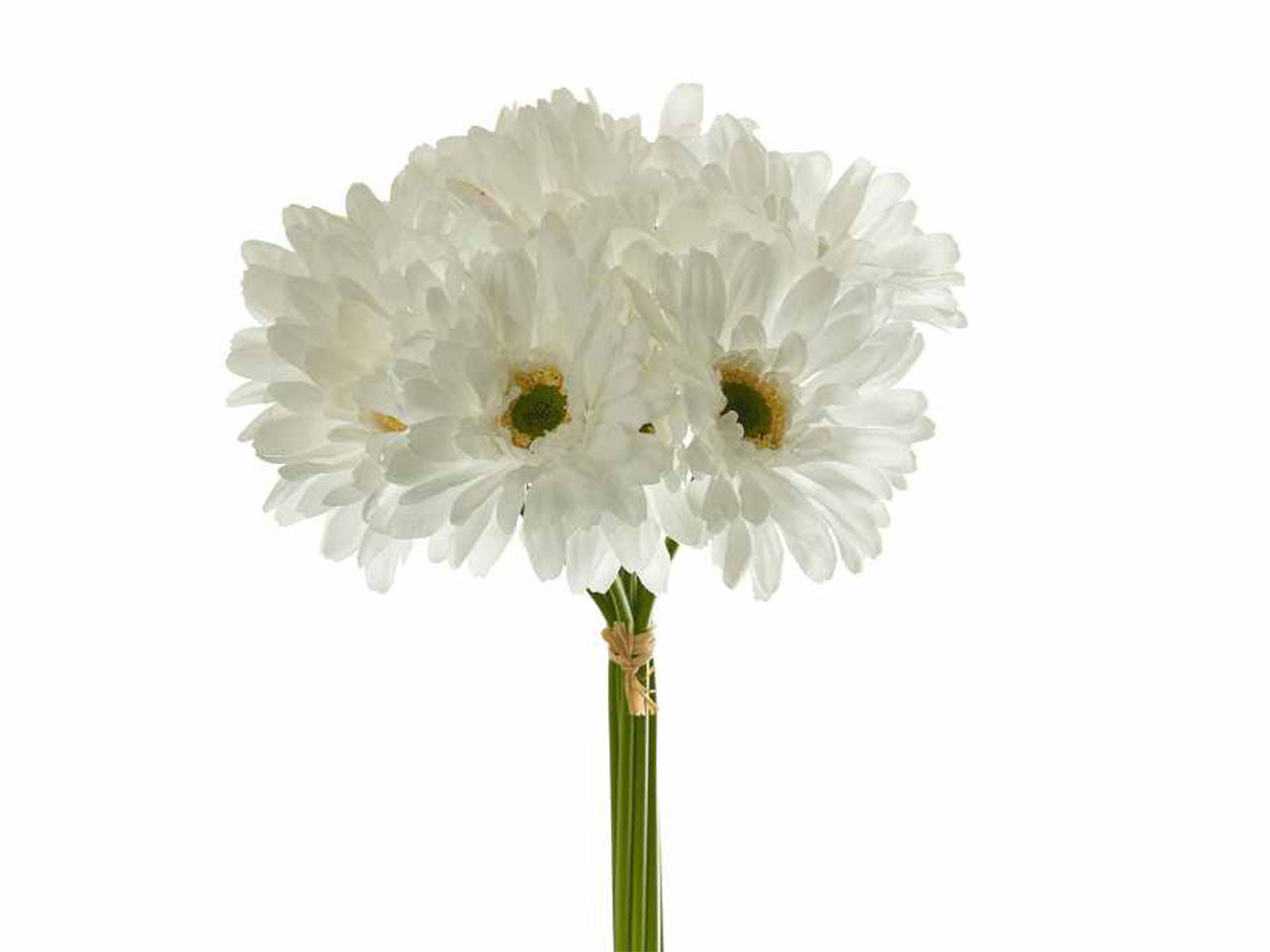Bouquet di 9 gerbere colore bianco