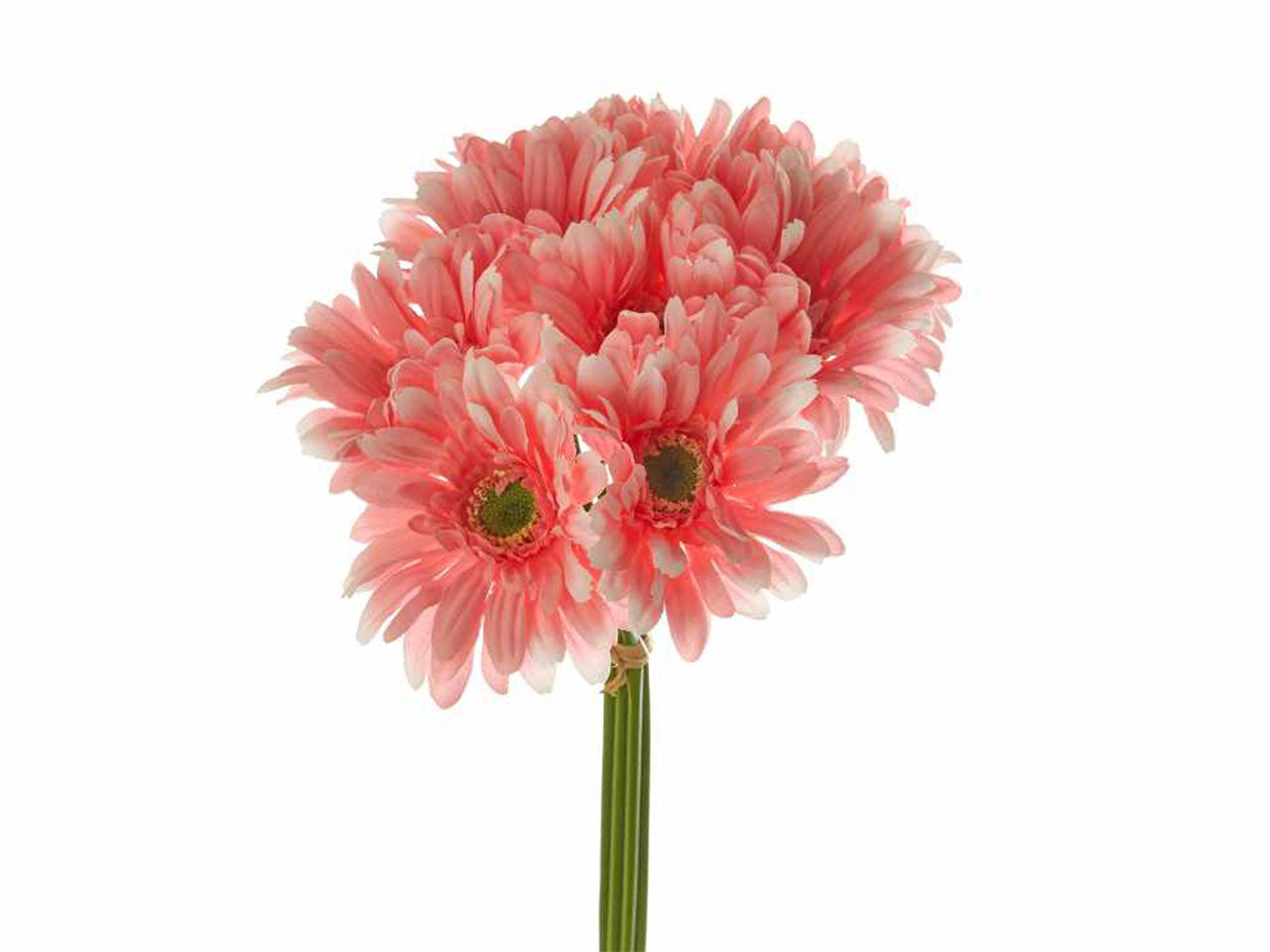 Bouquet di 9 gerbere colore rosa