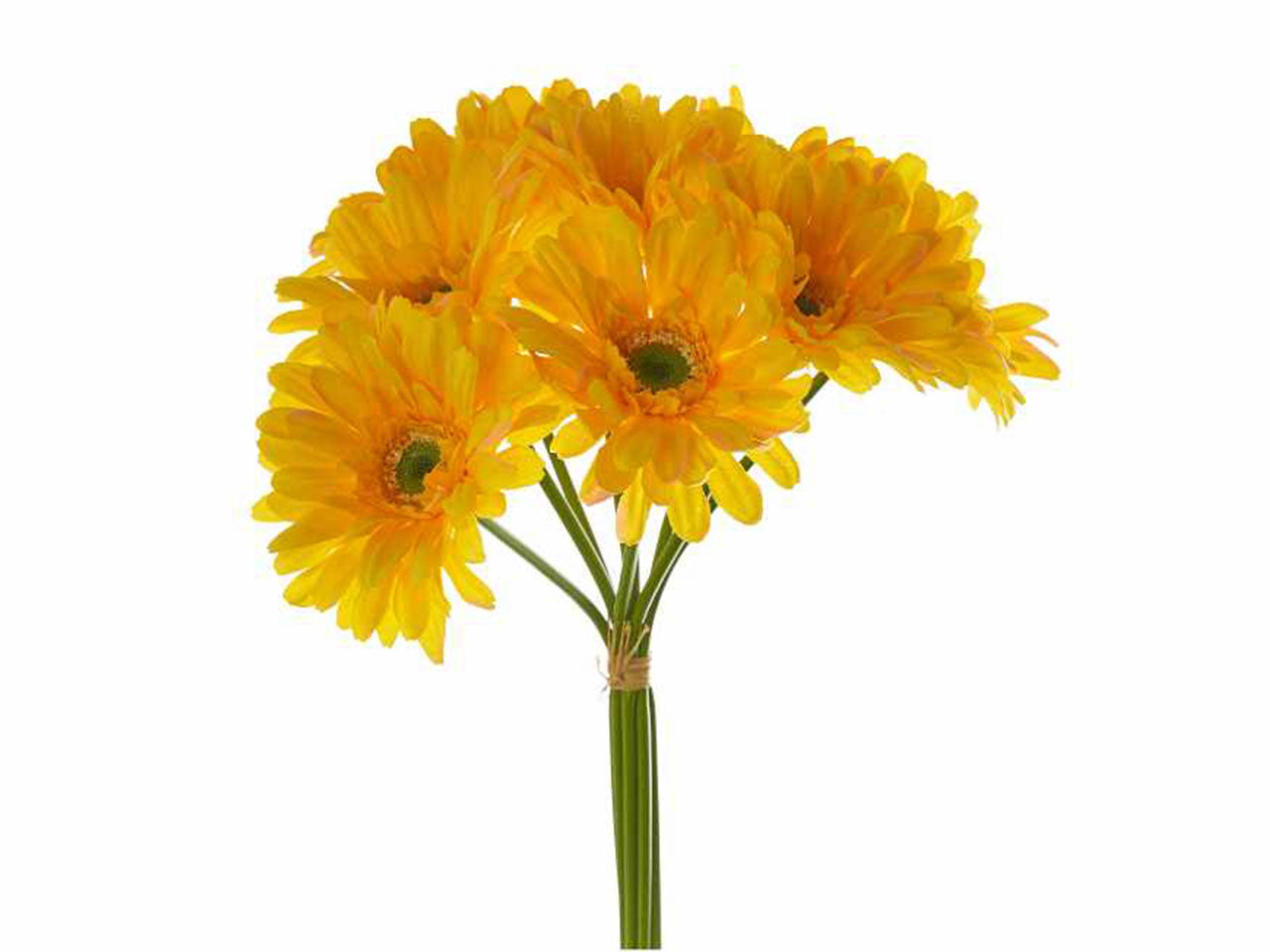Bouquet di 9 gerbere colore giallo