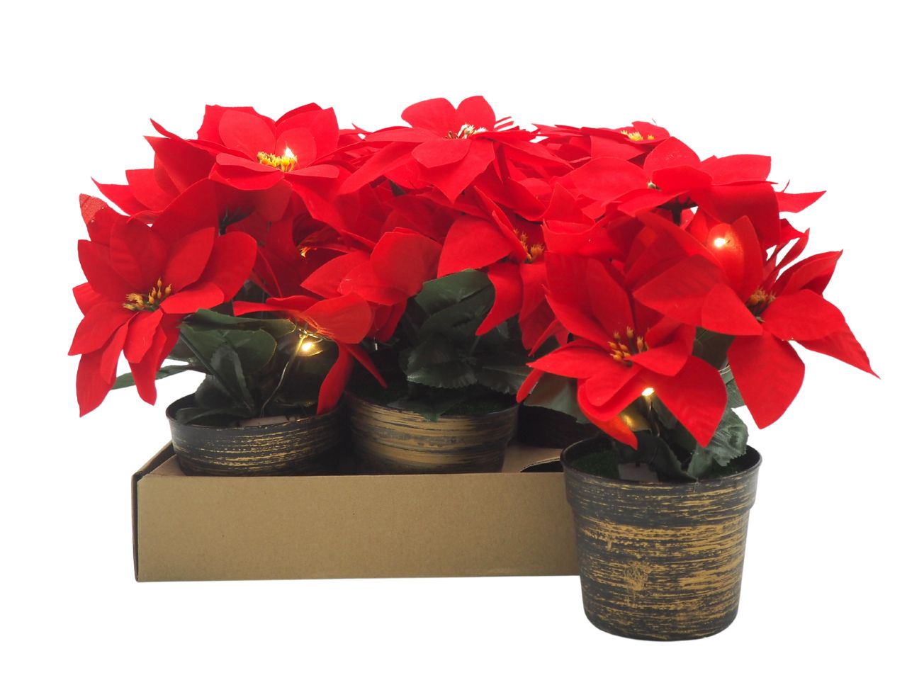 Piantina stella natale con 5 fiori misura h.23xd.10cm con 3 luci colore rossa