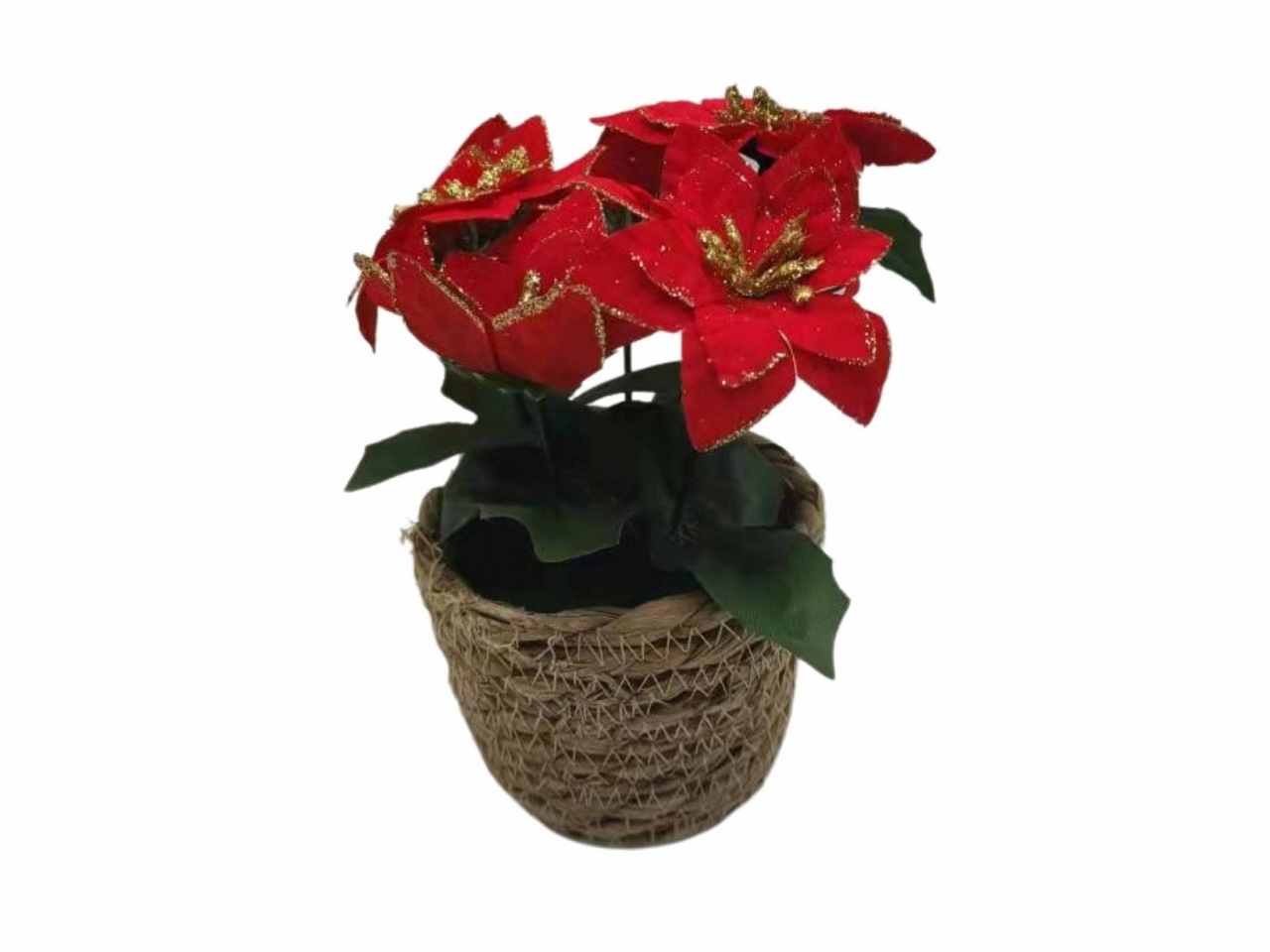 Pianta stella natale rossa 17cm 2ass. fiori vaso c/juta i mis.