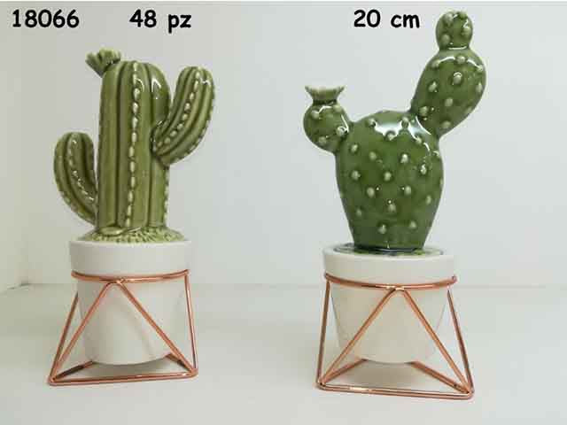 l.porcellana cactus 18066