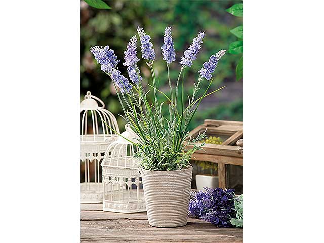 vaso con lavanda d10xh40 33916