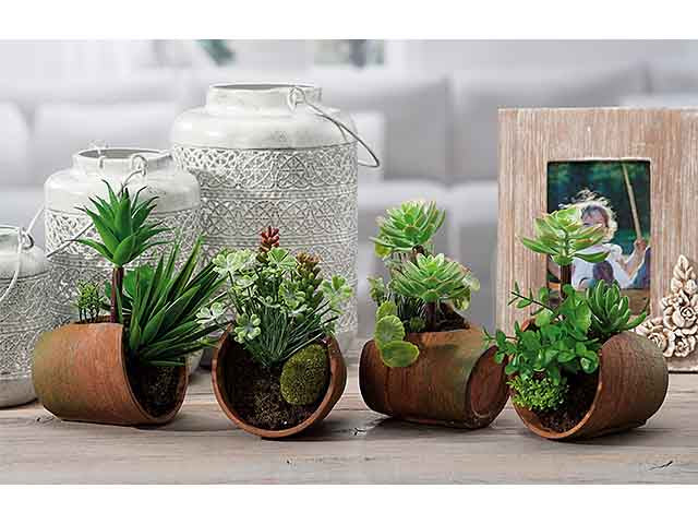 Vaso con pianta grassa 18x11xh18 46125