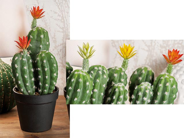 vaso con cactus 17x33cm 52145