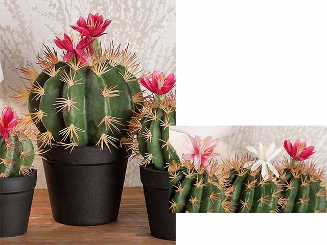 vaso con cactus 20x28cm 52151