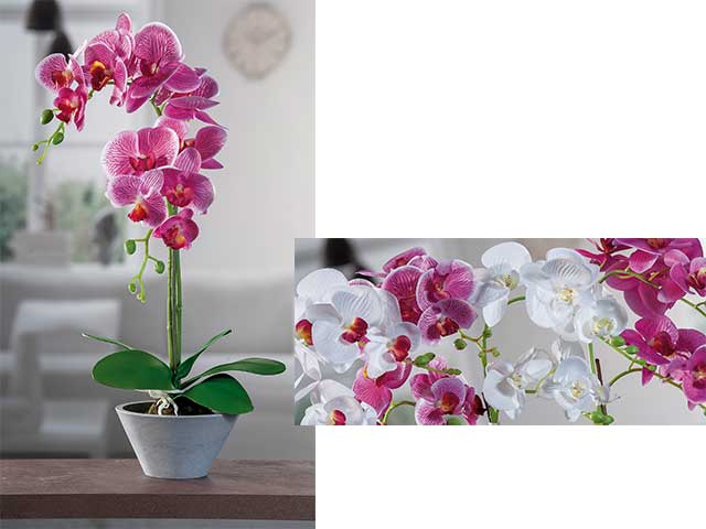 vaso con orchidea 12f 12x44cm 55479