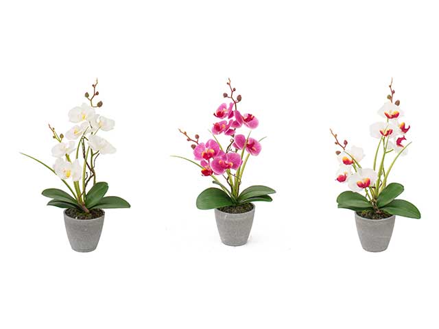 Vaso con orchidea 7f 10xh38cm 59003