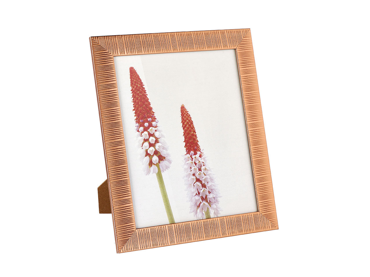 Porta foto ps hardy 20x25cm74333