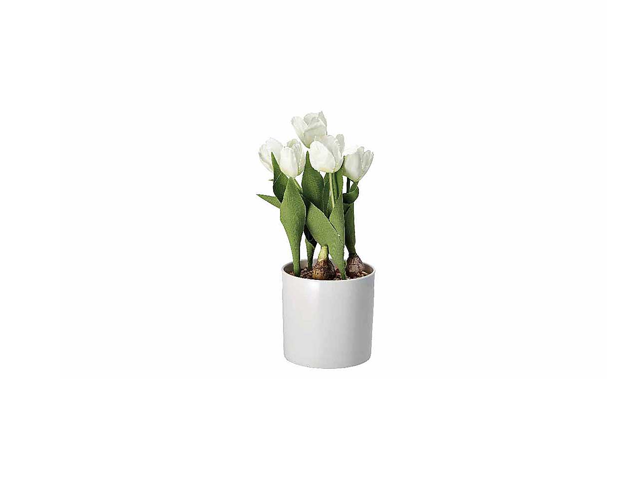 Vaso c/tulipani d.14xh33cm 74877