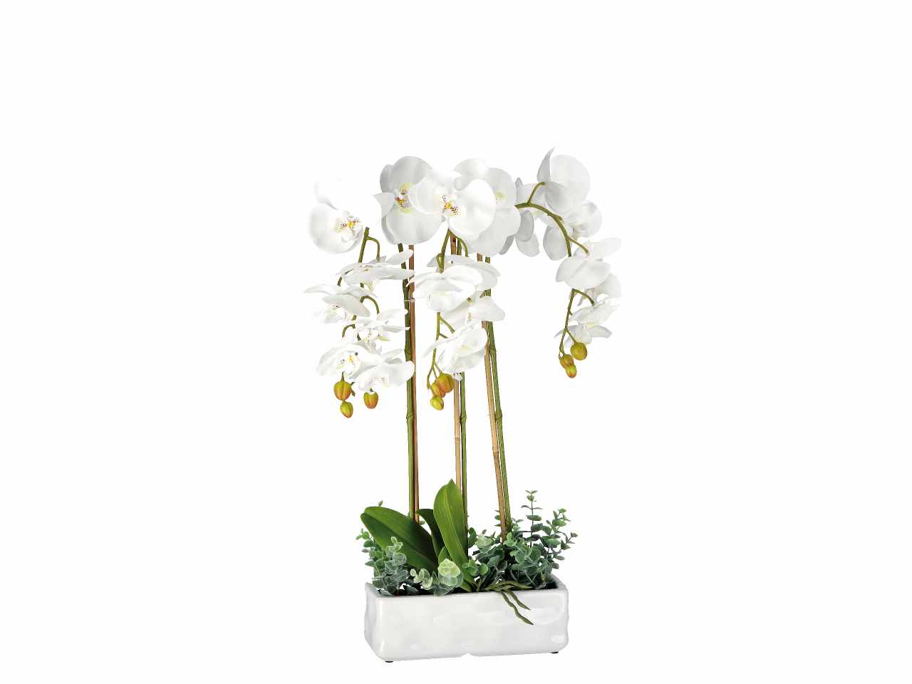 Vaso c/orchidee 25x10xh62cm 74899