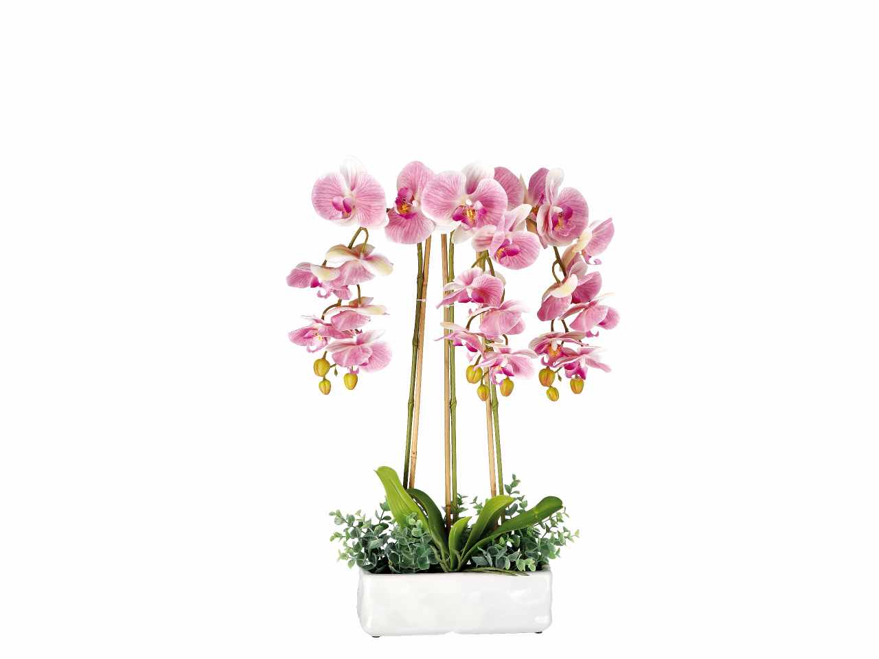 Vaso c/orchidee 25x10xh62cm 74899