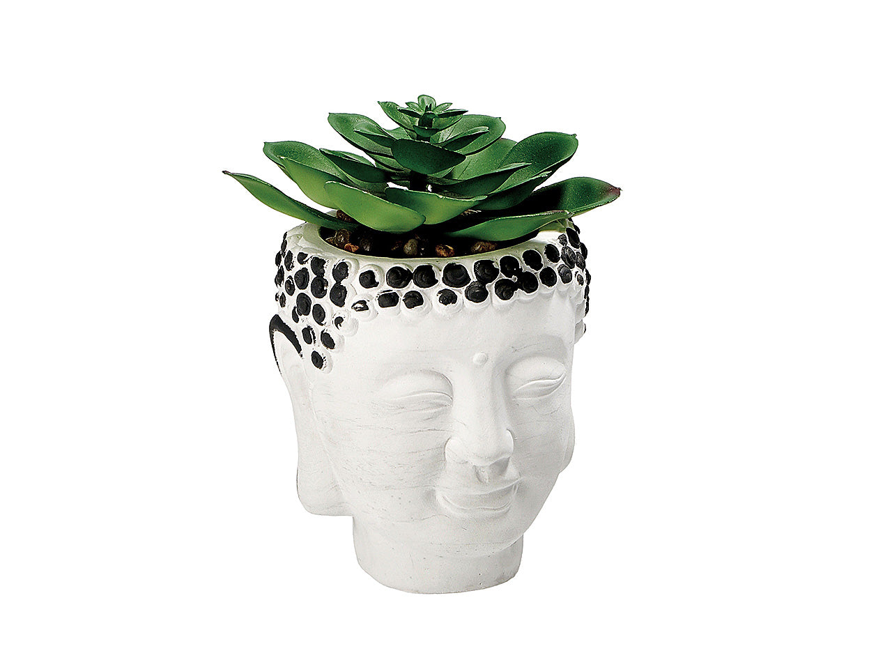 Vaso con pianta grassa d9xh13cm 75412