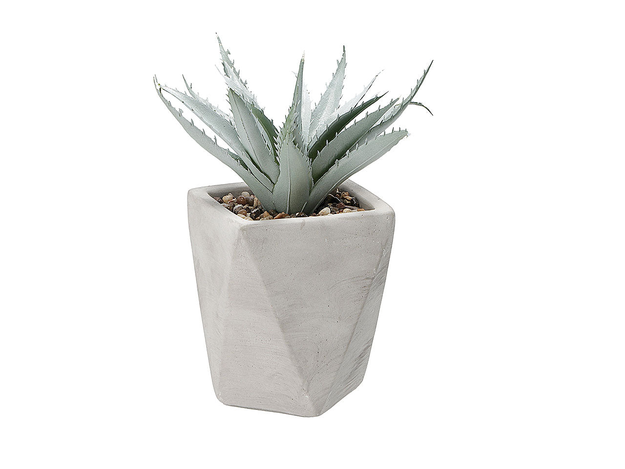 Vaso con pianta grassa d9xh20cm 75413