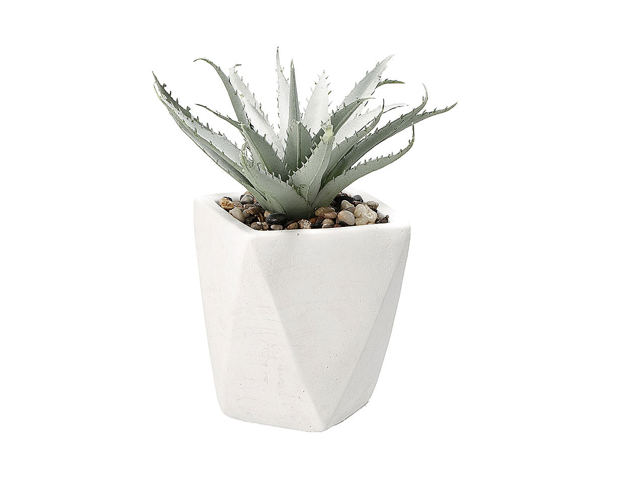 Vaso con pianta grassa d9xh20cm 75413