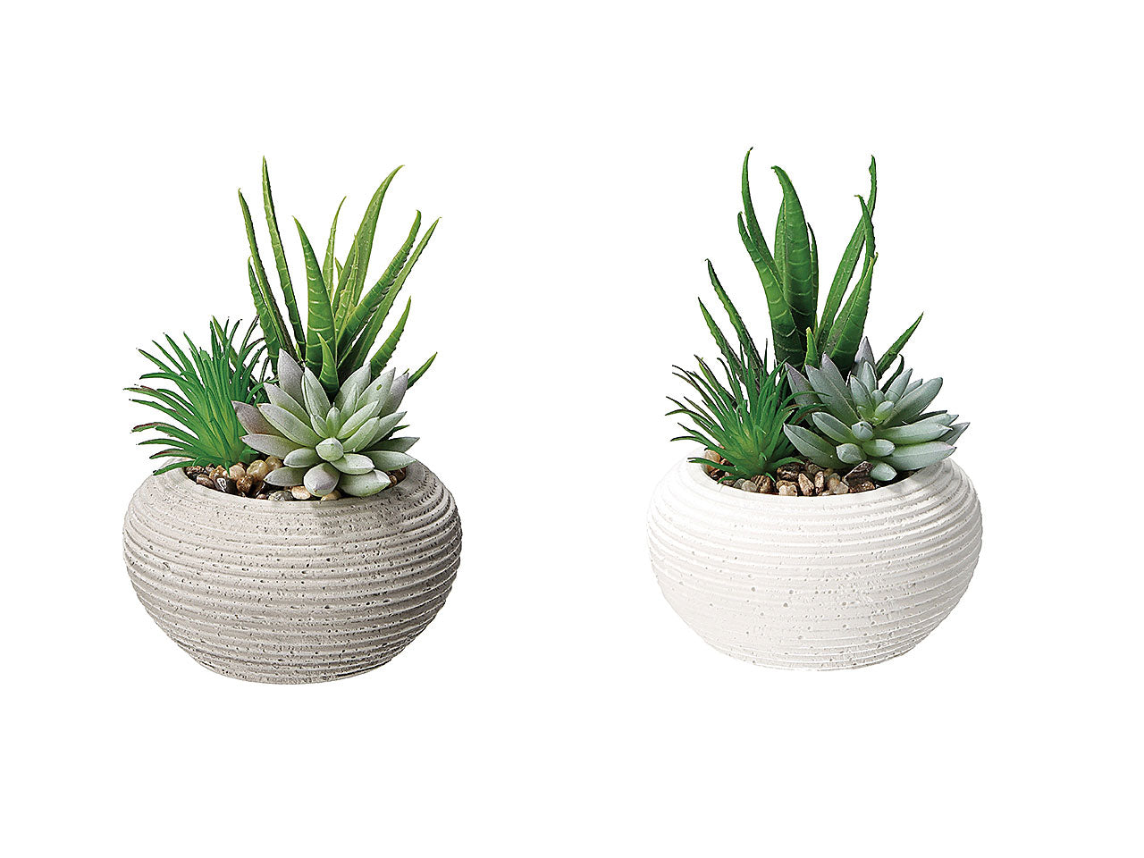 Vaso con pianta grassa d11xh15cm 75415