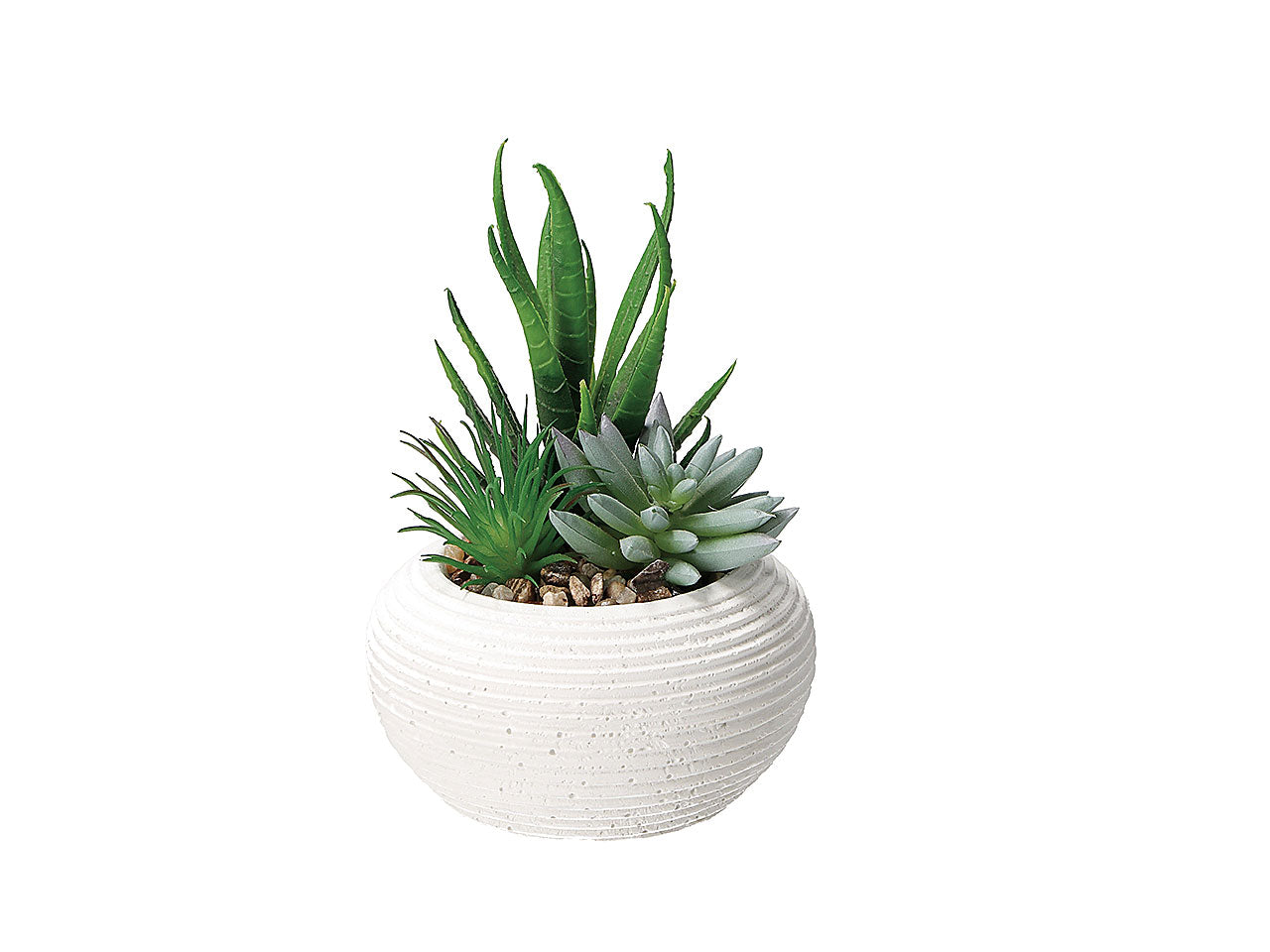 Vaso con pianta grassa d11xh15cm 75415