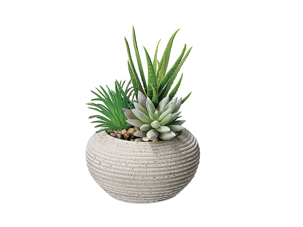 Vaso con pianta grassa d11xh15cm 75415