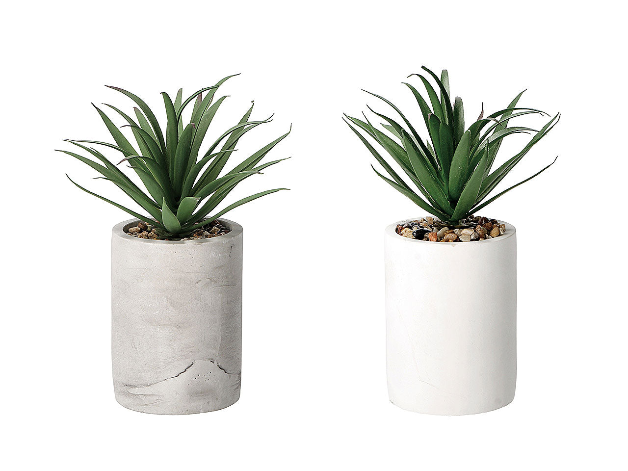 Vaso con pianta grassa d9xh22cm 75417