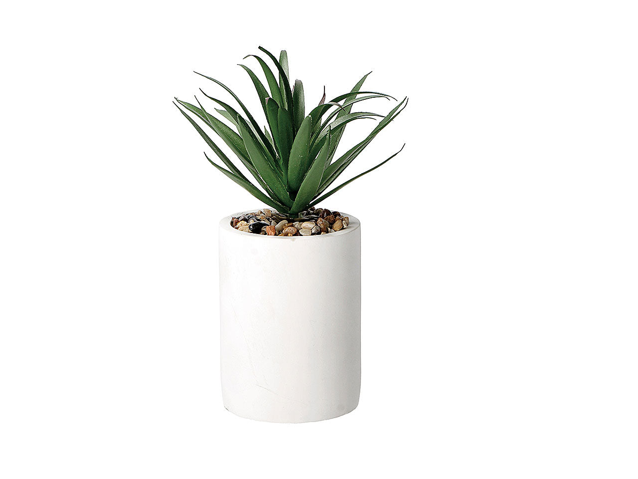 Vaso con pianta grassa d9xh22cm 75417