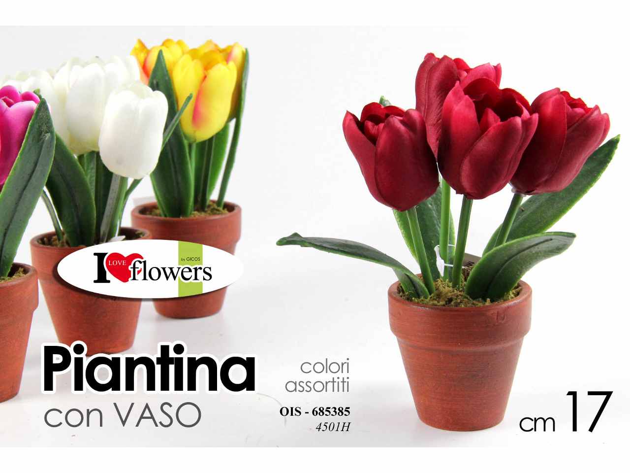 Piantina tulipano 17cm 685385