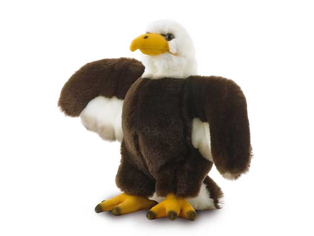 Aquila 21cm 10013