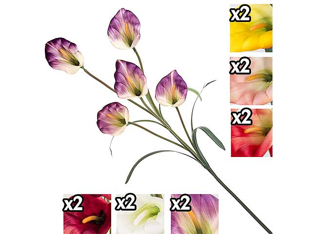 calla 5 fiori gig 17139