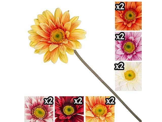 gerbera gig 35839