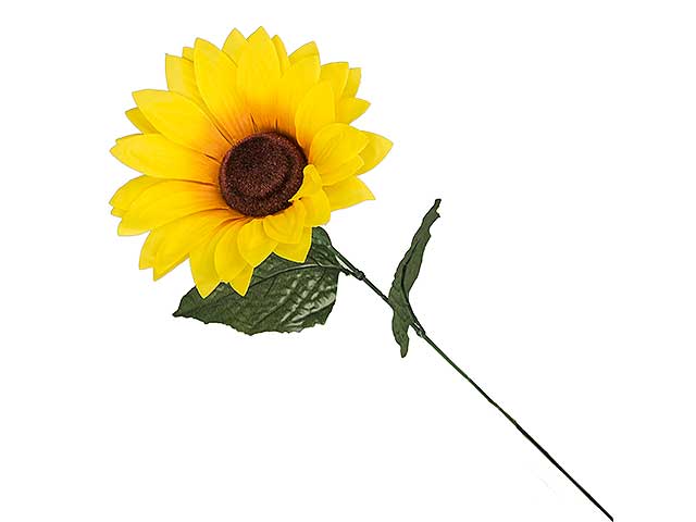 girasole 73cm liy 55227