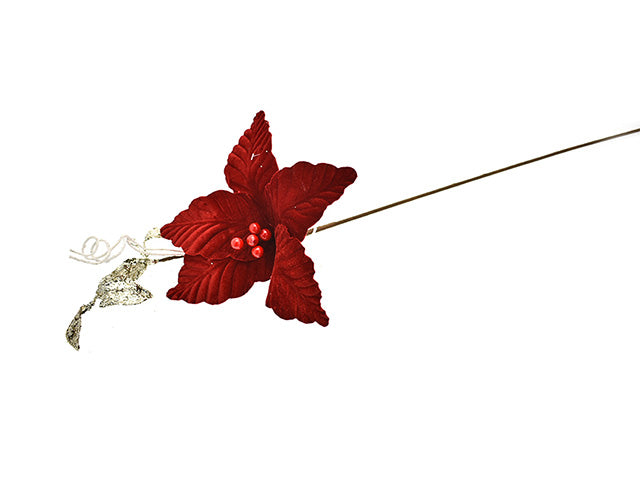 fiore gambo lungo rosso 306146253