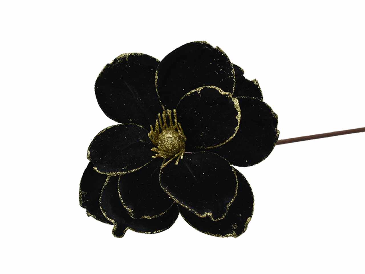 fiore gambo lungo nero