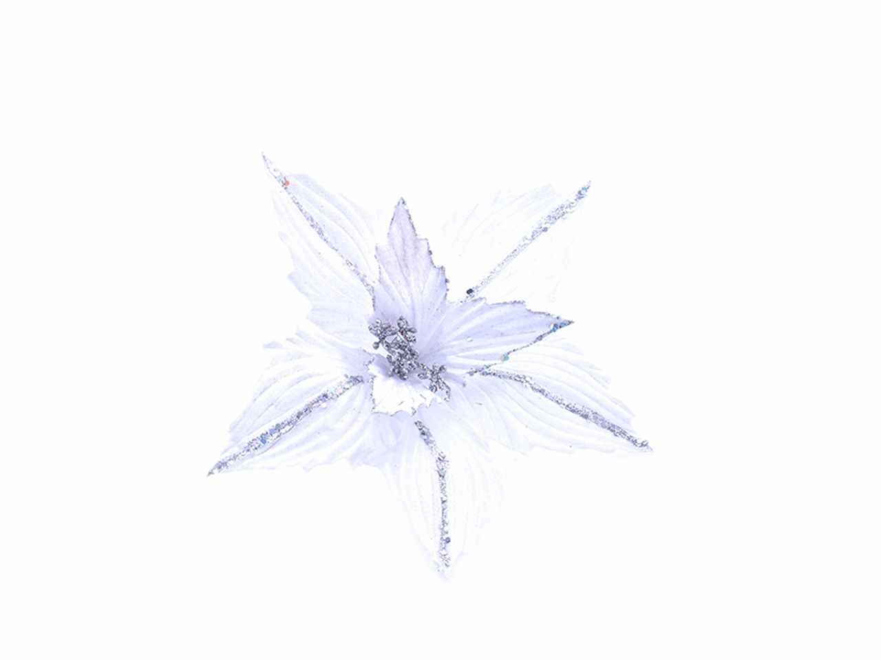 Fiore gambo corto bianco