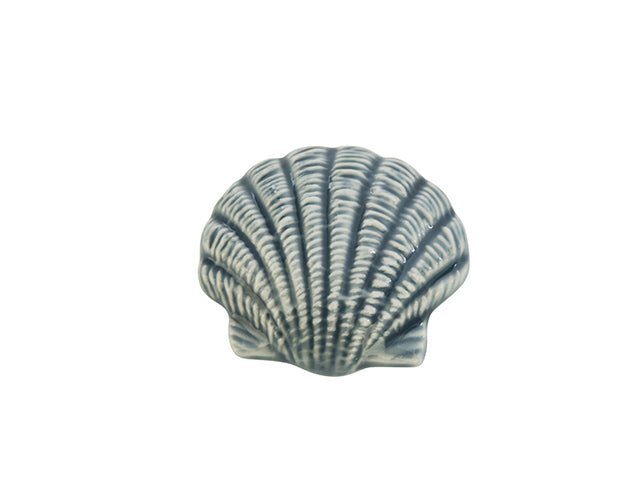 conchiglia canestrello 5cm 1018999