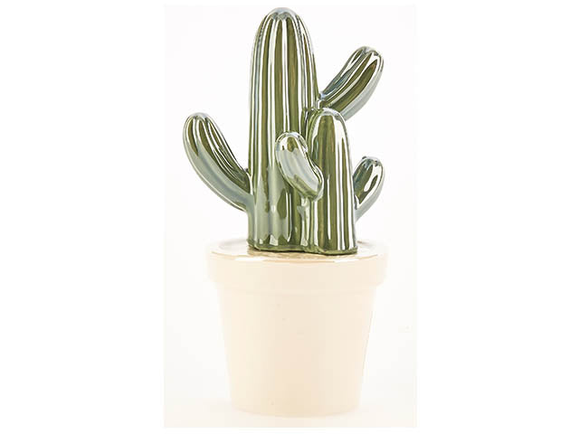 l.cactus doppio 14cm 1207002