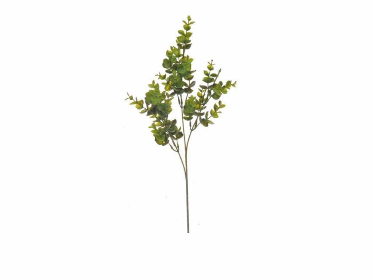 Ramo eucalipto 65cm 2pi690