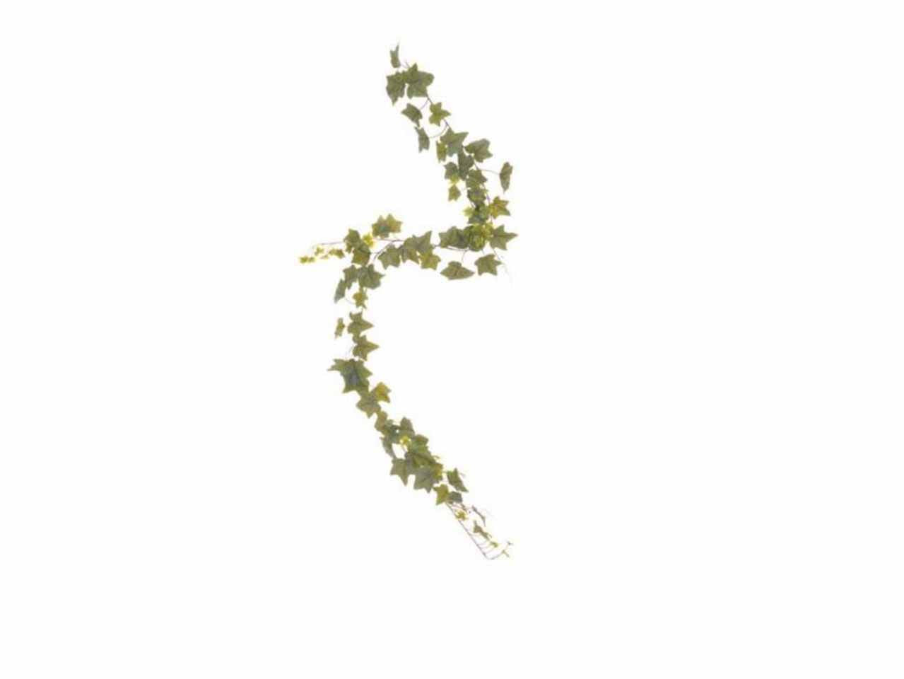 Ghirlanda edera 180cm 92foglie 2pbv764
