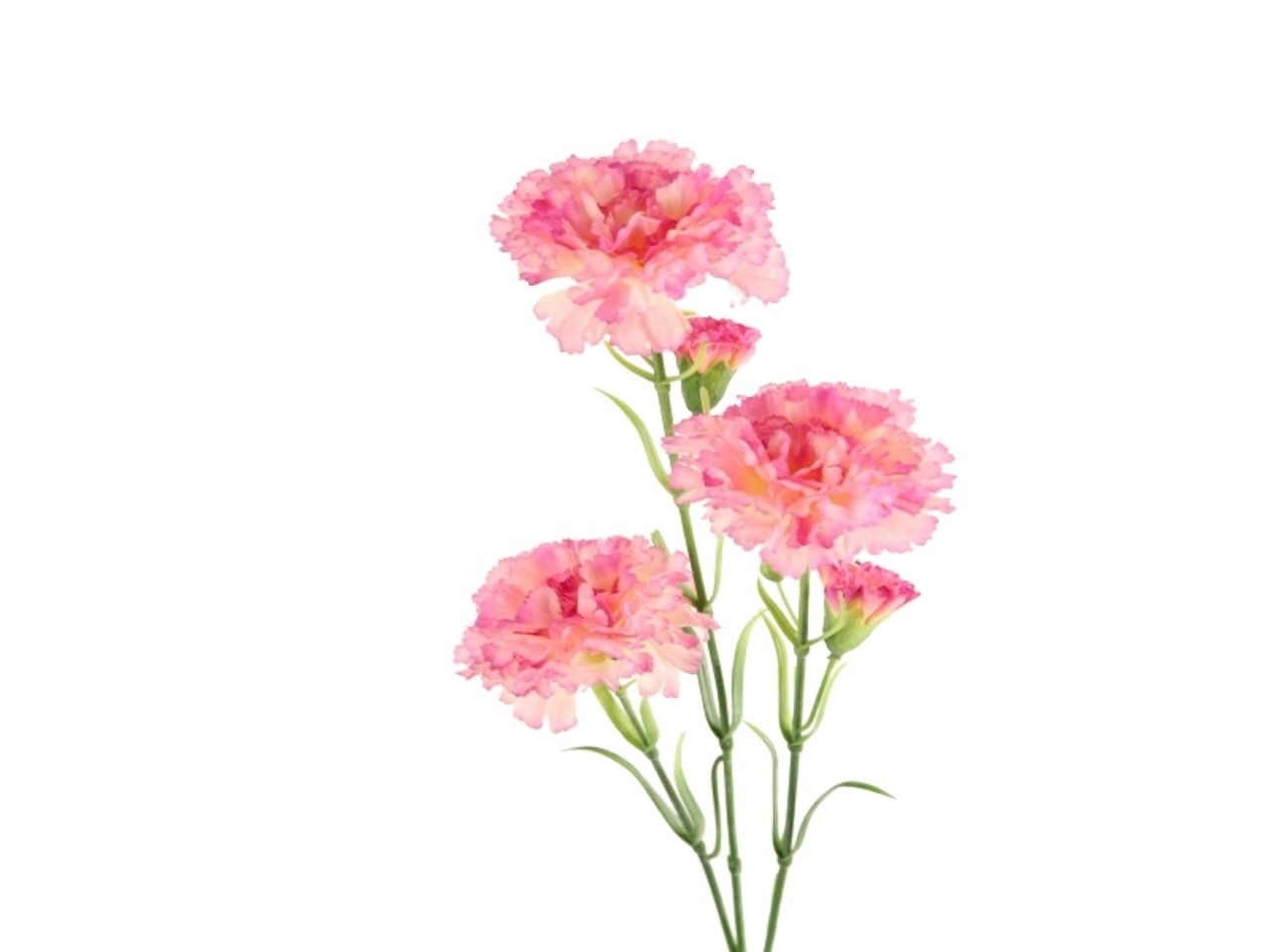 Garofano 68cm lavanda 2fv868