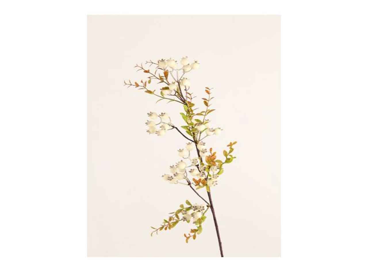 Ramo bacche 74cm crema 1mhz257
