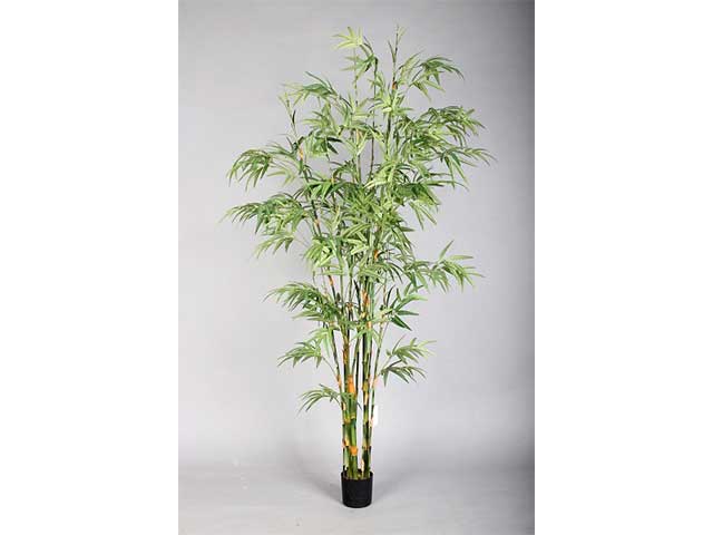 Pianta bamboo x9 180cm con vaso 2pio278