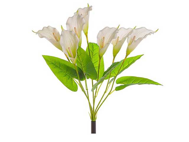 Calla mazzo 33x62cm sass.2fv1563