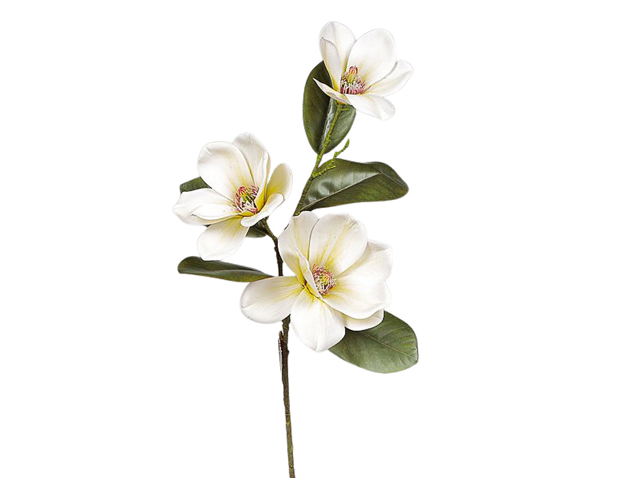 Ramo magnolia x3 75cm crema 2fhz692