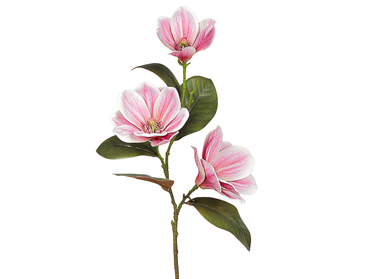 ramo magnolia x 37cm 2fhz692