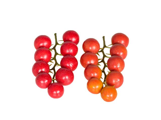 Pomodoro a mazzetto x9 1mme9