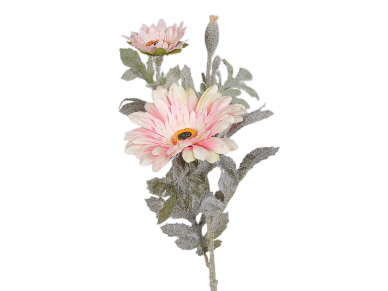 Ramo con gerbere x2 fiori rosa
