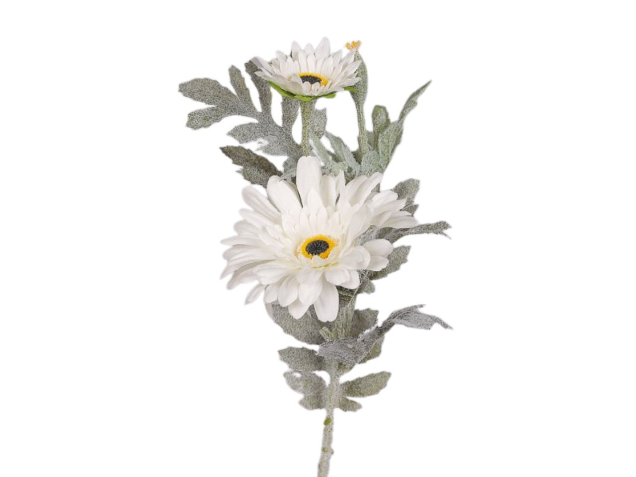 Ramo con gerbere x2 fiori bianchi